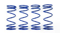 1/16 E-REVO™ Springs